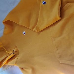 Mens Champion Hoodies